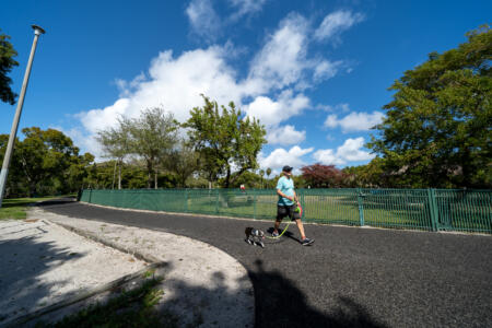 Kennedy Park Trail, Coconut Grove